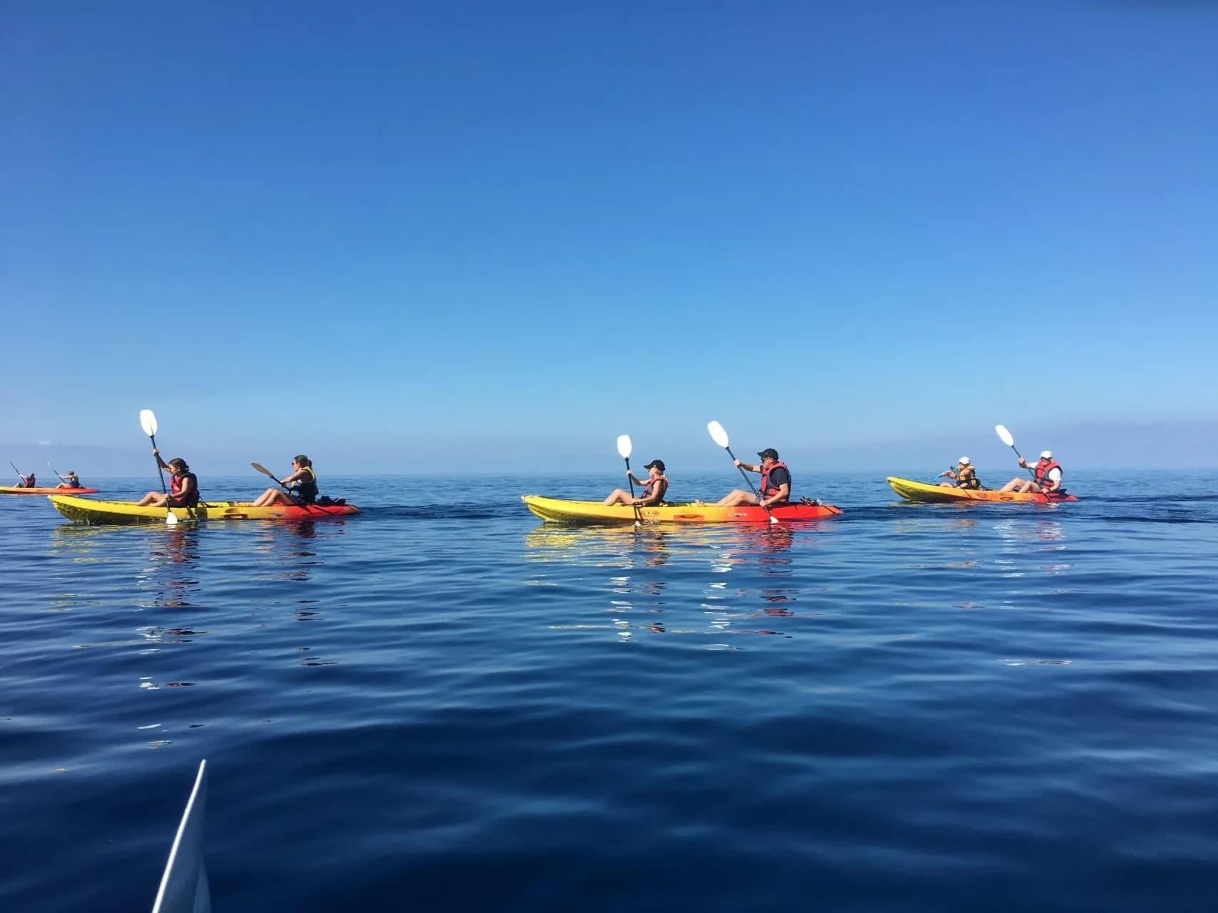 Kayak